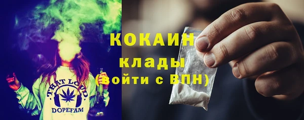 хмурый Менделеевск