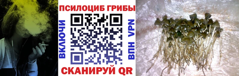 Галлюциногенные грибы ЛСД  Ряжск 